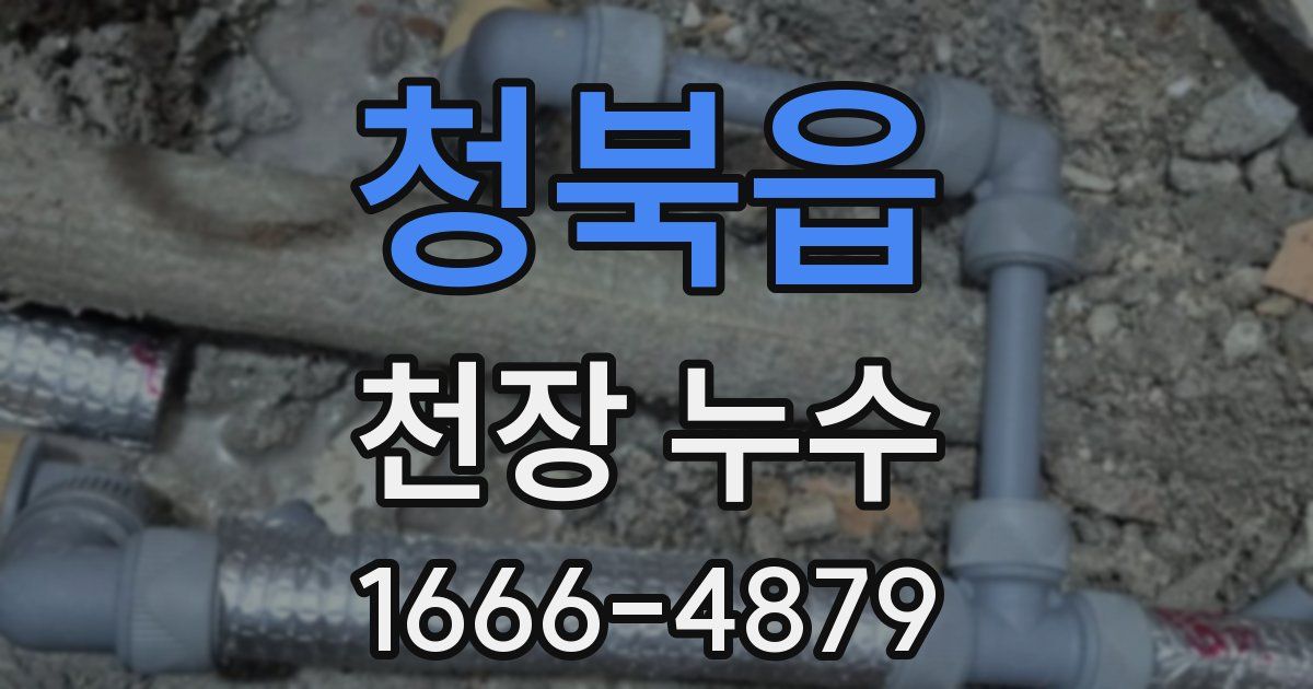 청북읍 천장 누수