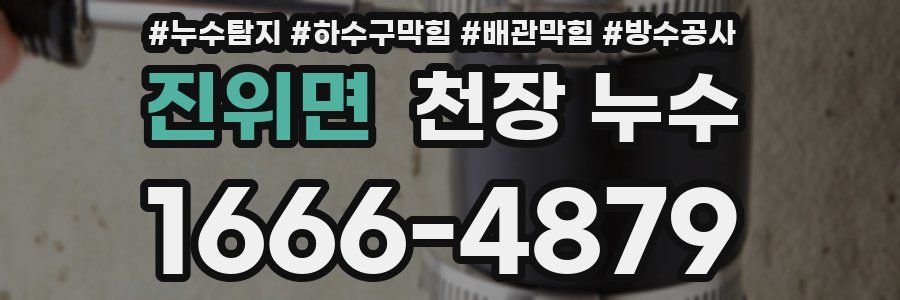 진위면 천장 누수