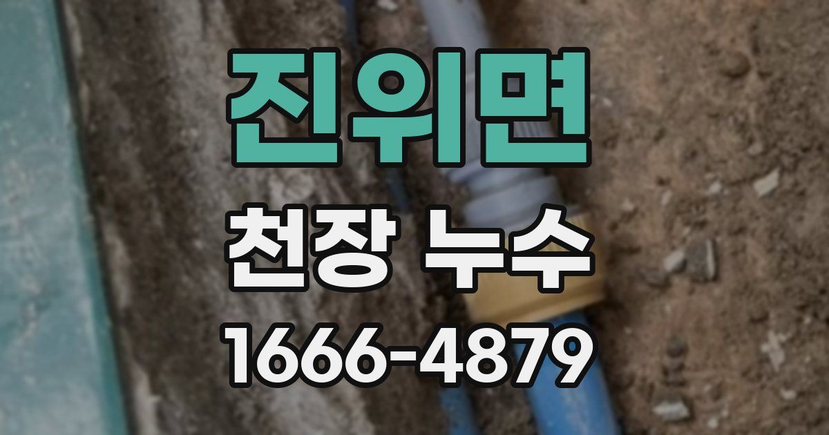 진위면 천장 누수
