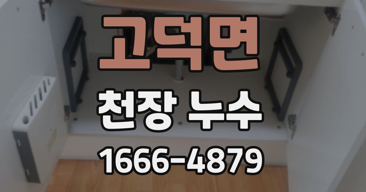 고덕면 천장 누수
