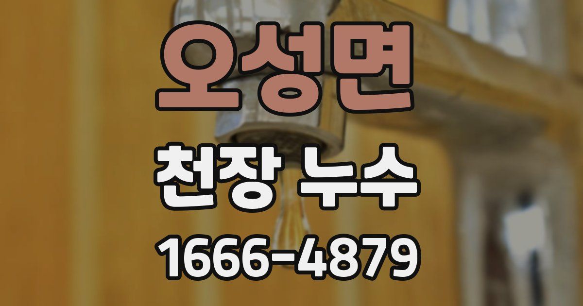 오성면 천장 누수
