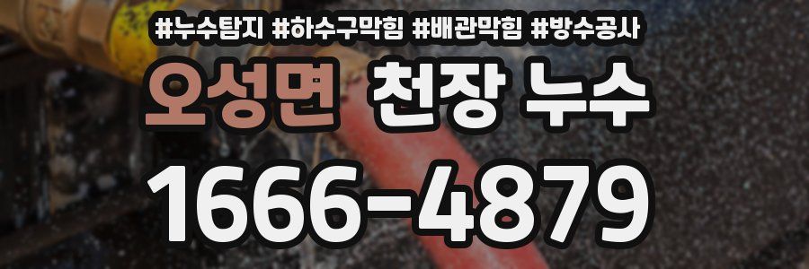 오성면 천장 누수