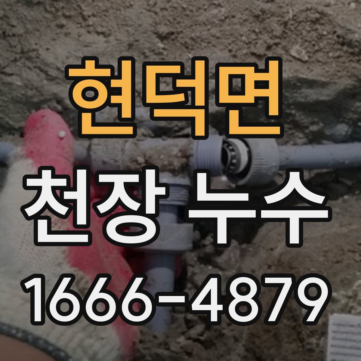 현덕면 천장 누수