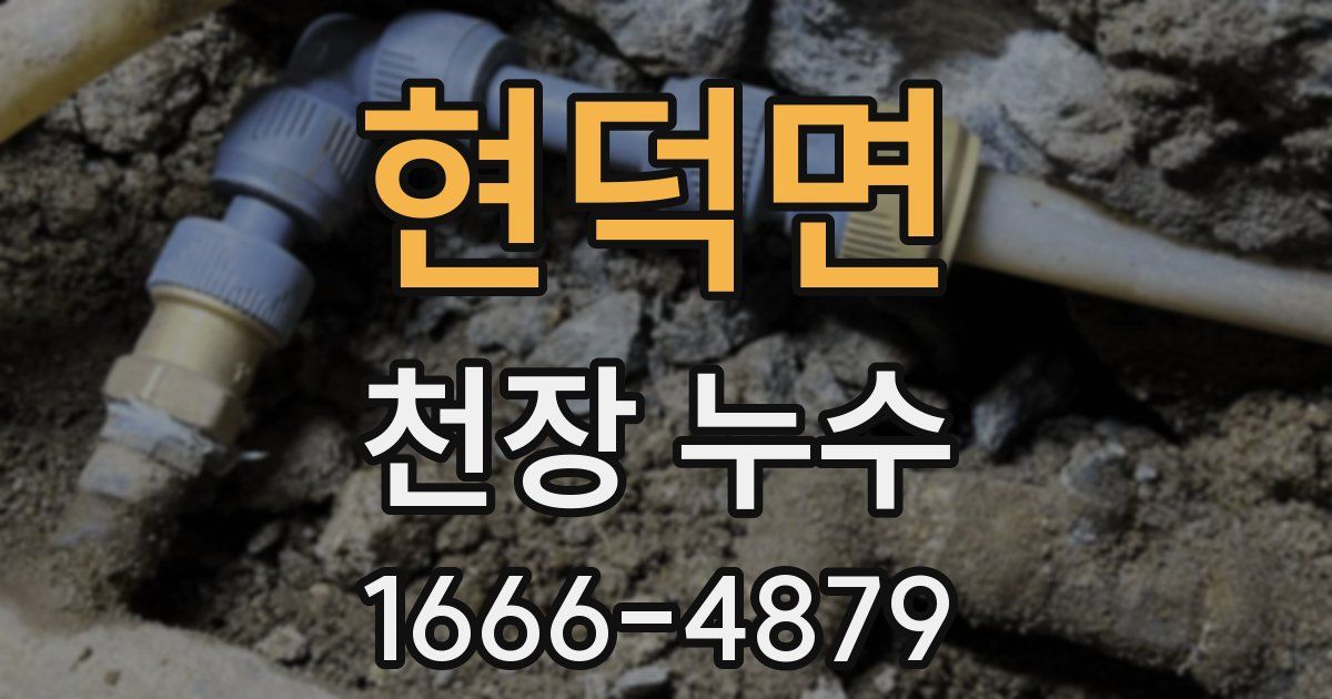 현덕면 천장 누수
