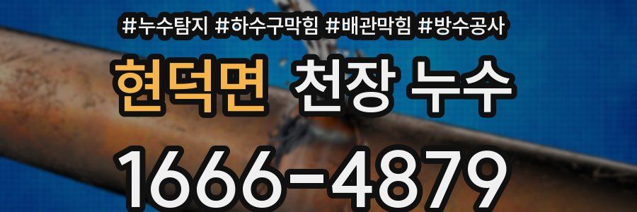 현덕면 천장 누수