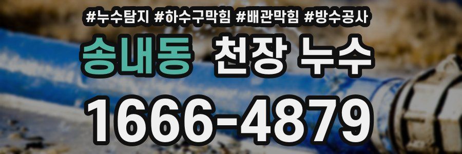 송내동 천장 누수