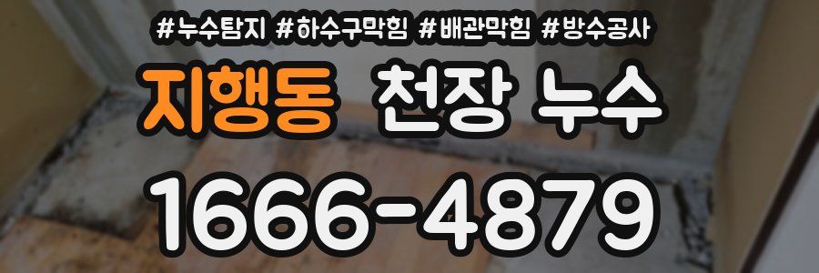 지행동 천장 누수