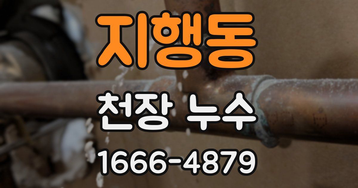 지행동 천장 누수