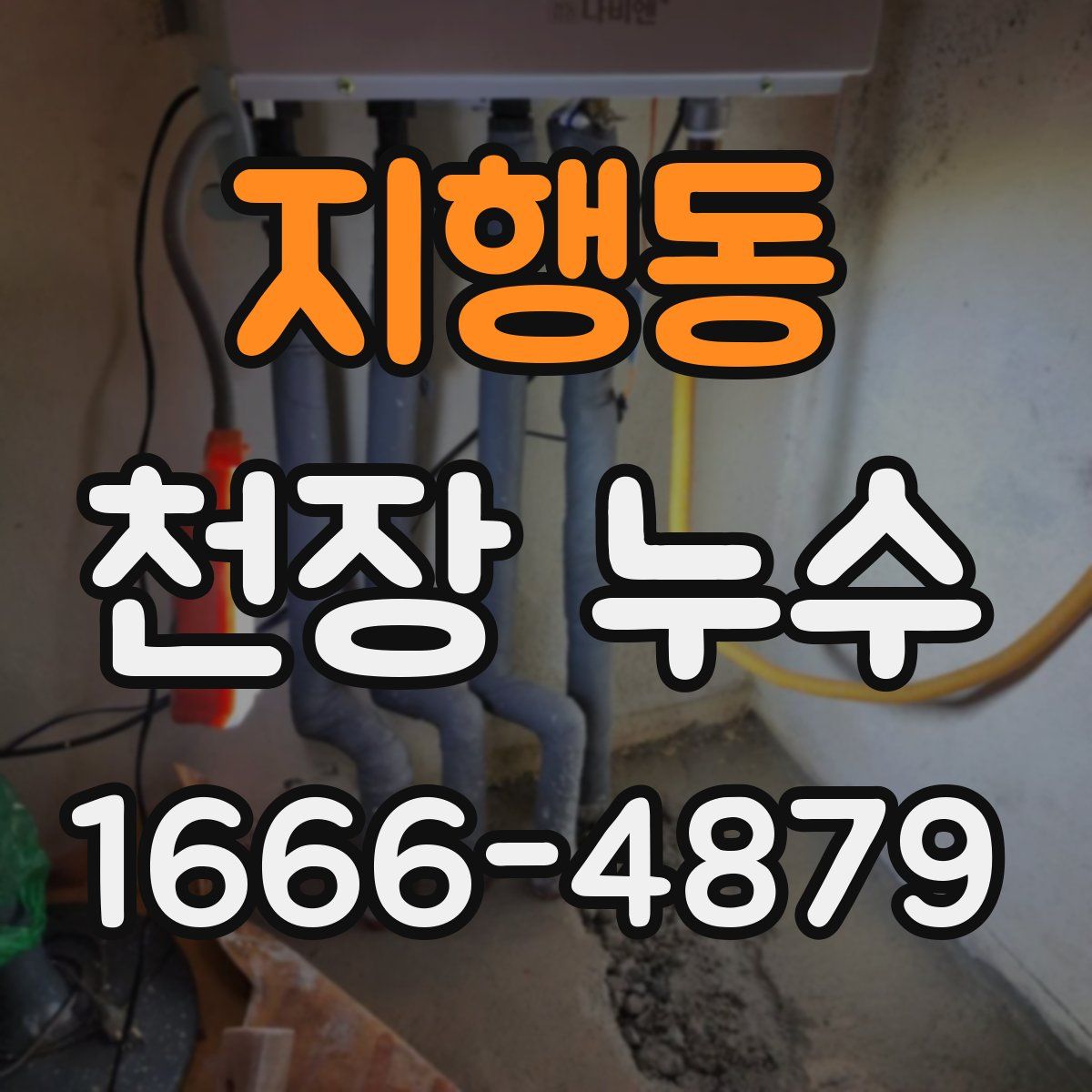 지행동 천장 누수