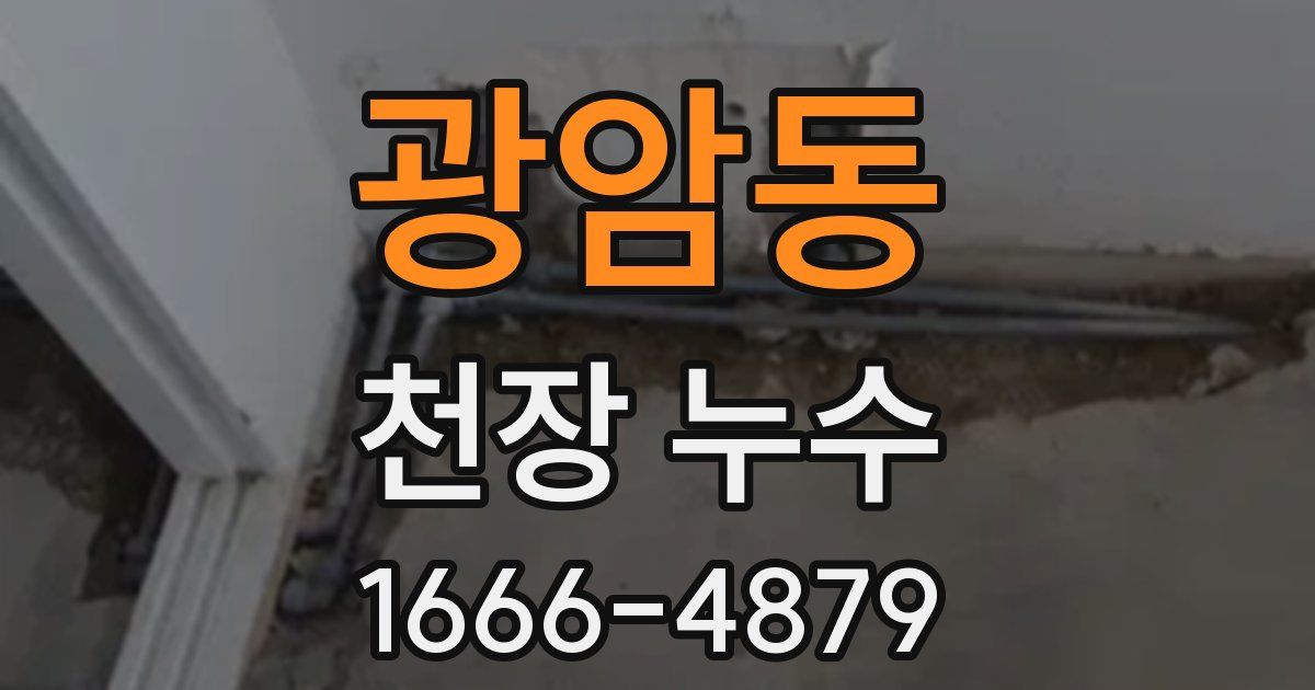 광암동 천장 누수