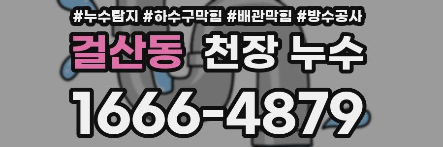 걸산동 천장 누수