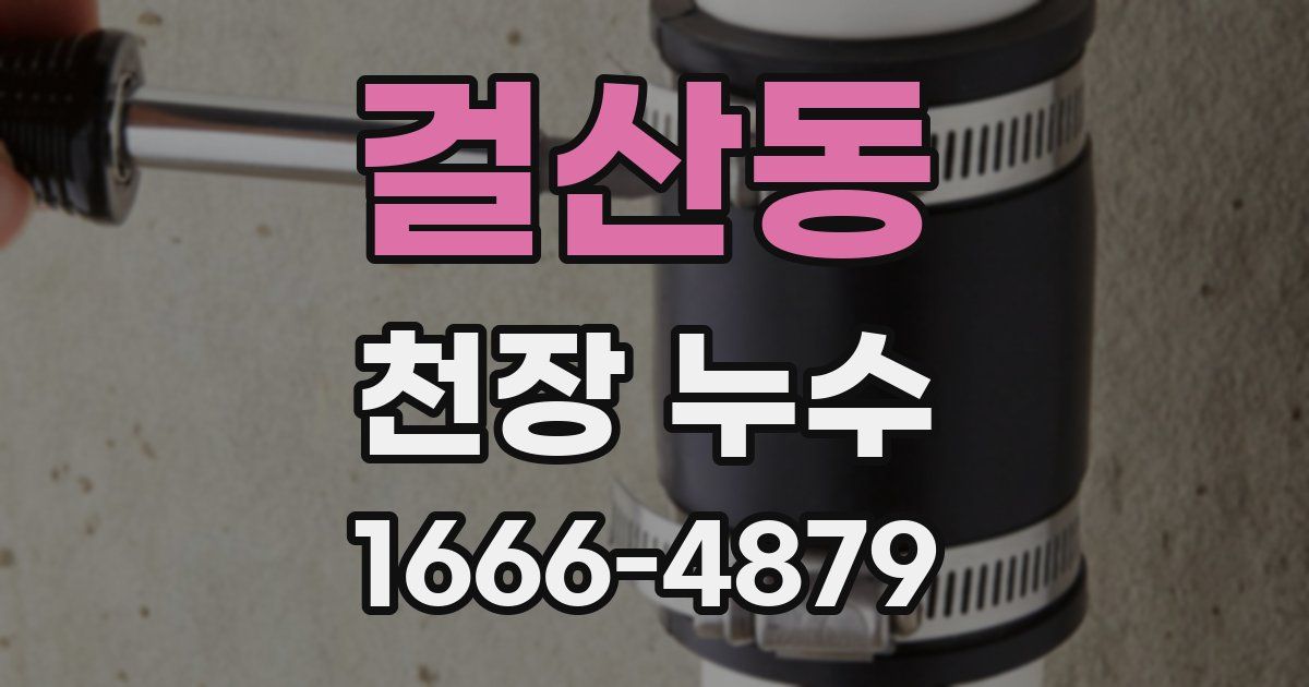 걸산동 천장 누수