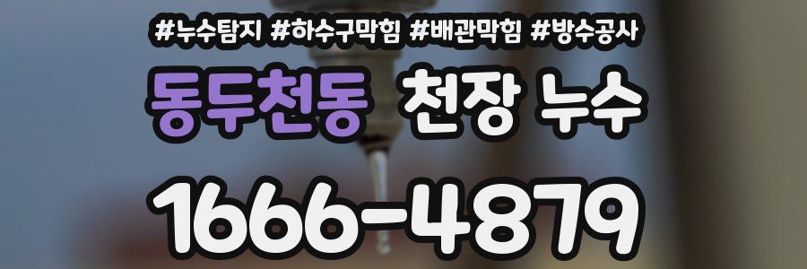 동두천동 천장 누수