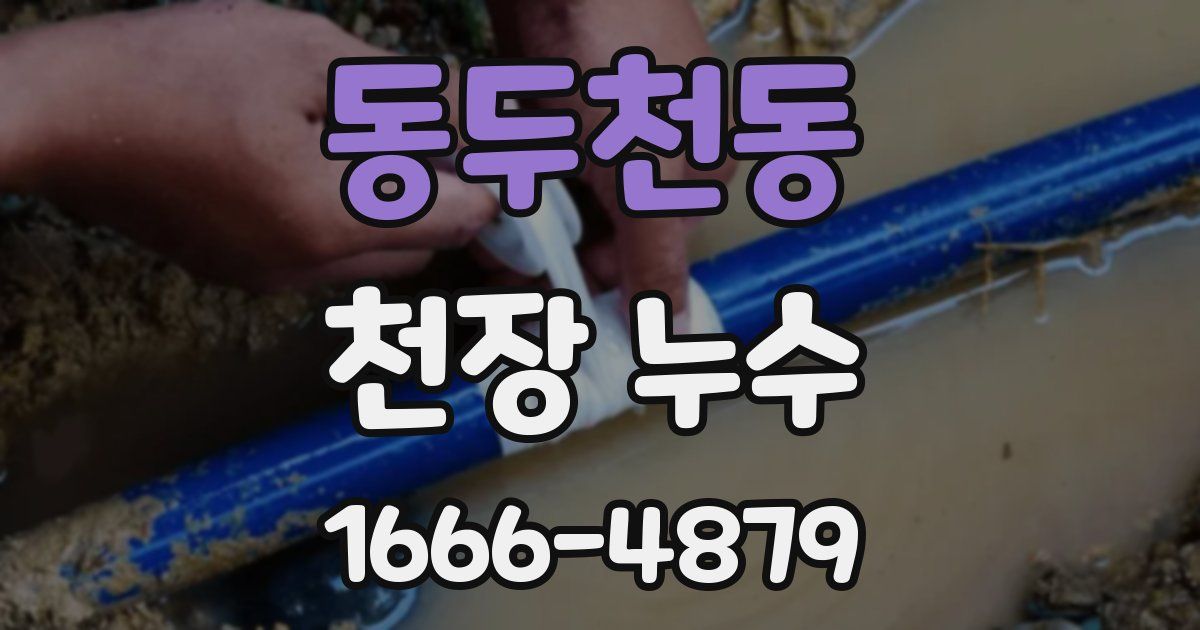 동두천동 천장 누수