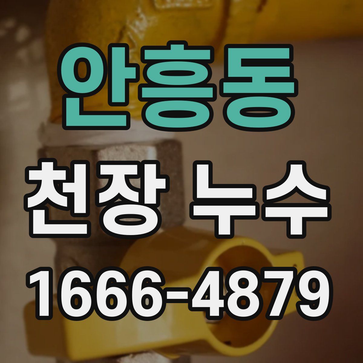 안흥동 천장 누수