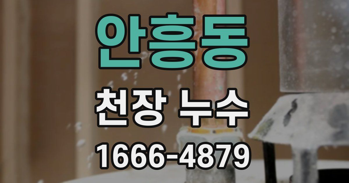 안흥동 천장 누수