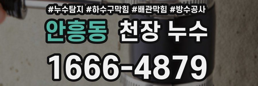 안흥동 천장 누수