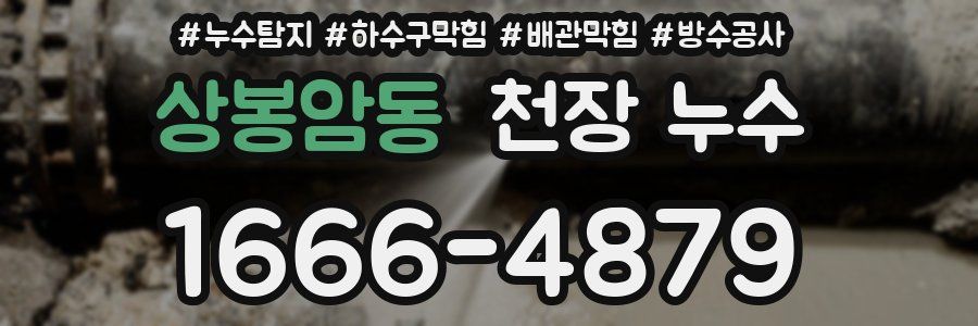 상봉암동 천장 누수