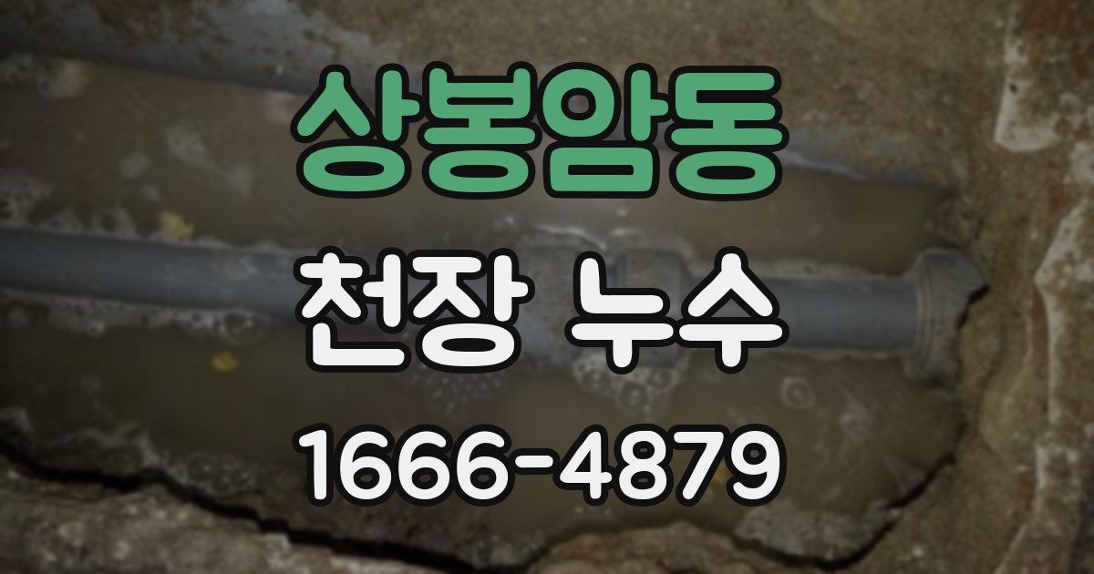 상봉암동 천장 누수