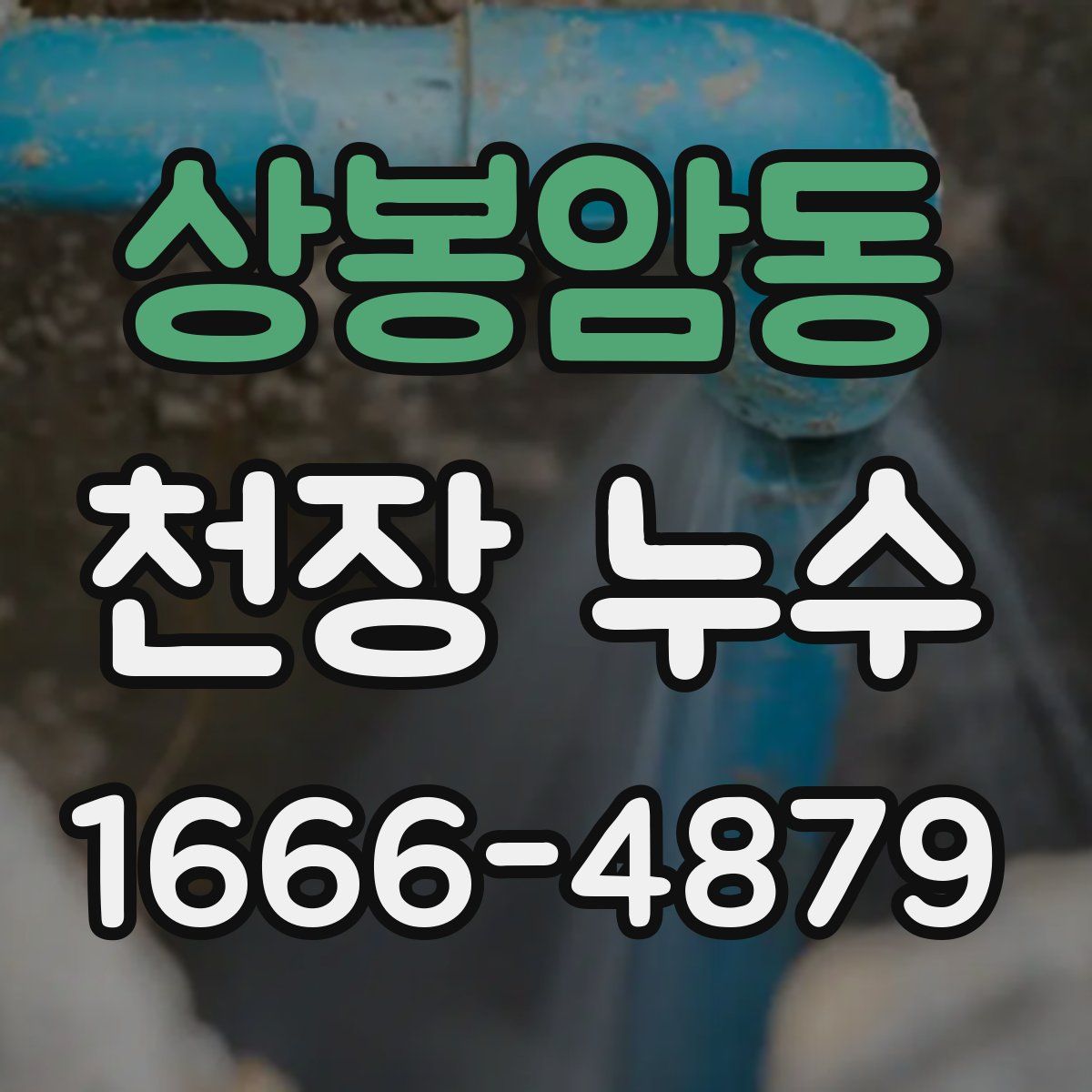 상봉암동 천장 누수
