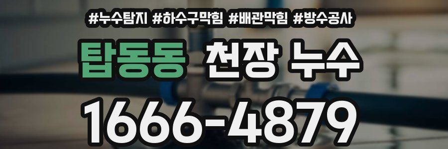 탑동동 천장 누수