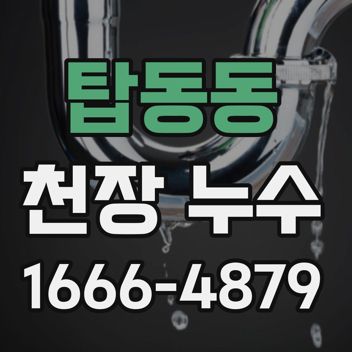 탑동동 천장 누수