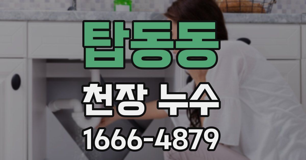 탑동동 천장 누수