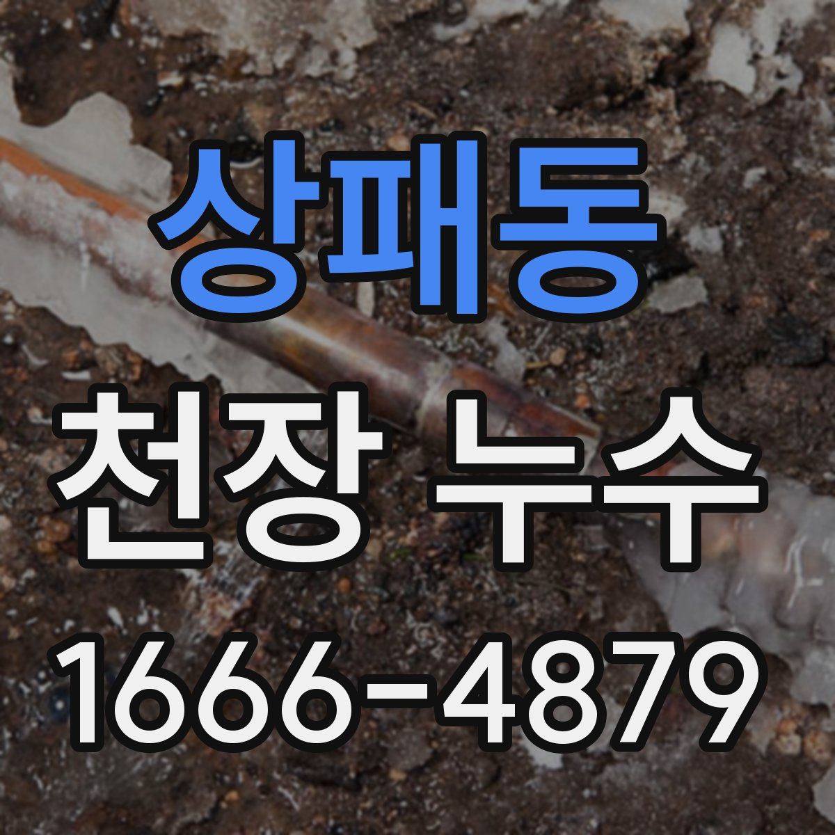 상패동 천장 누수
