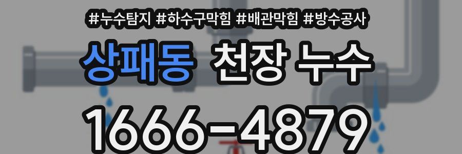 상패동 천장 누수