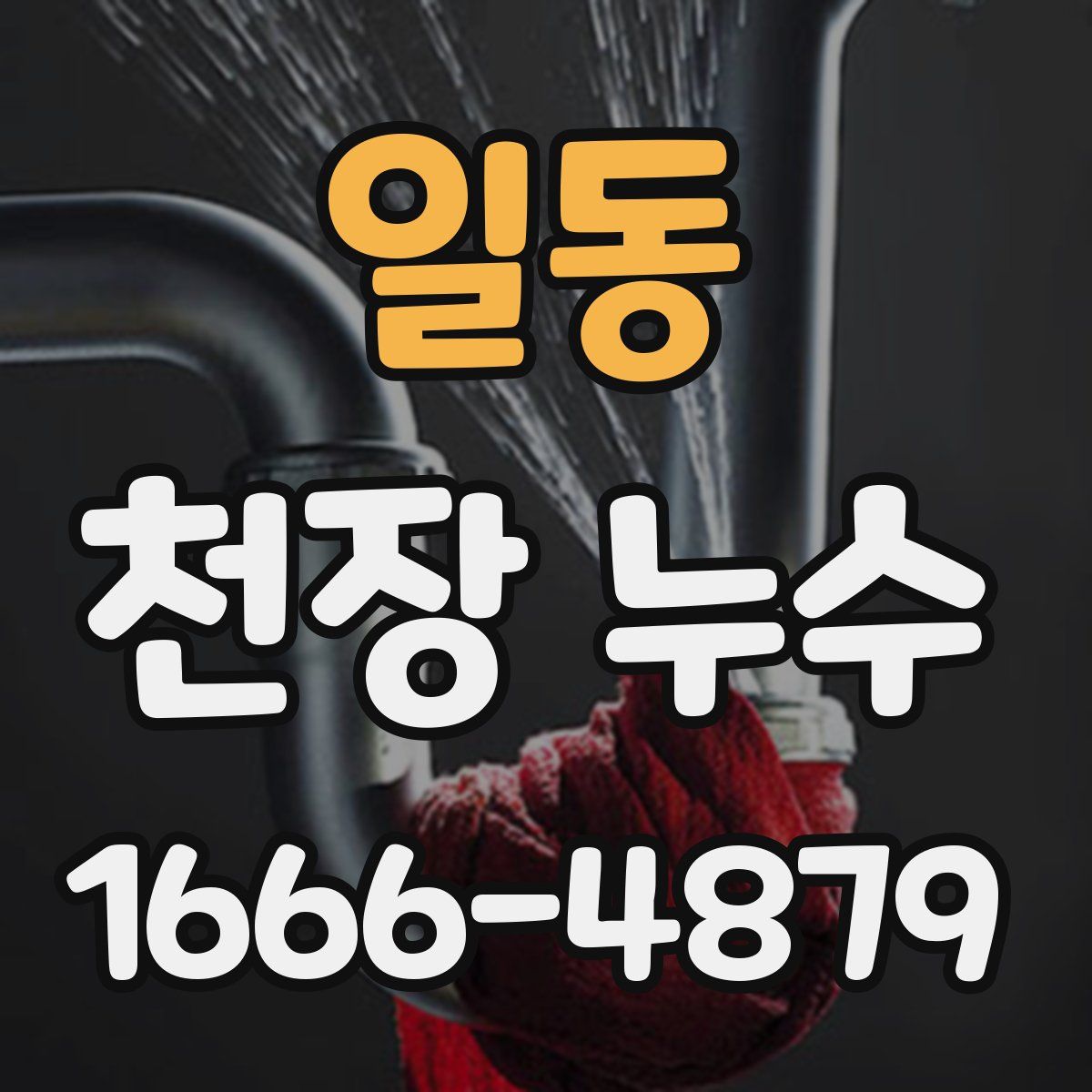 일동 천장 누수