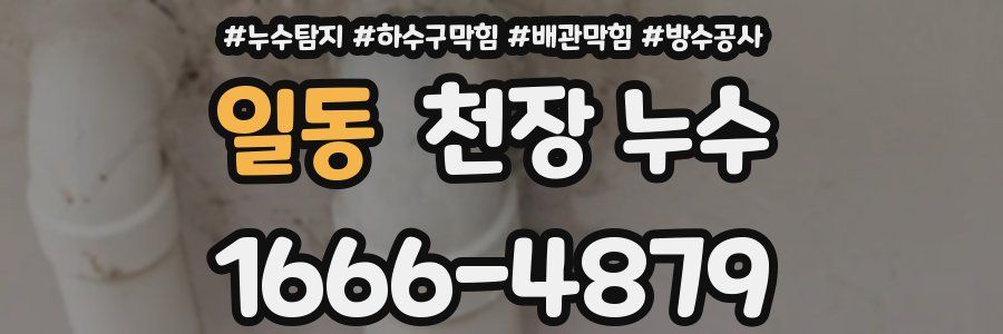 일동 천장 누수