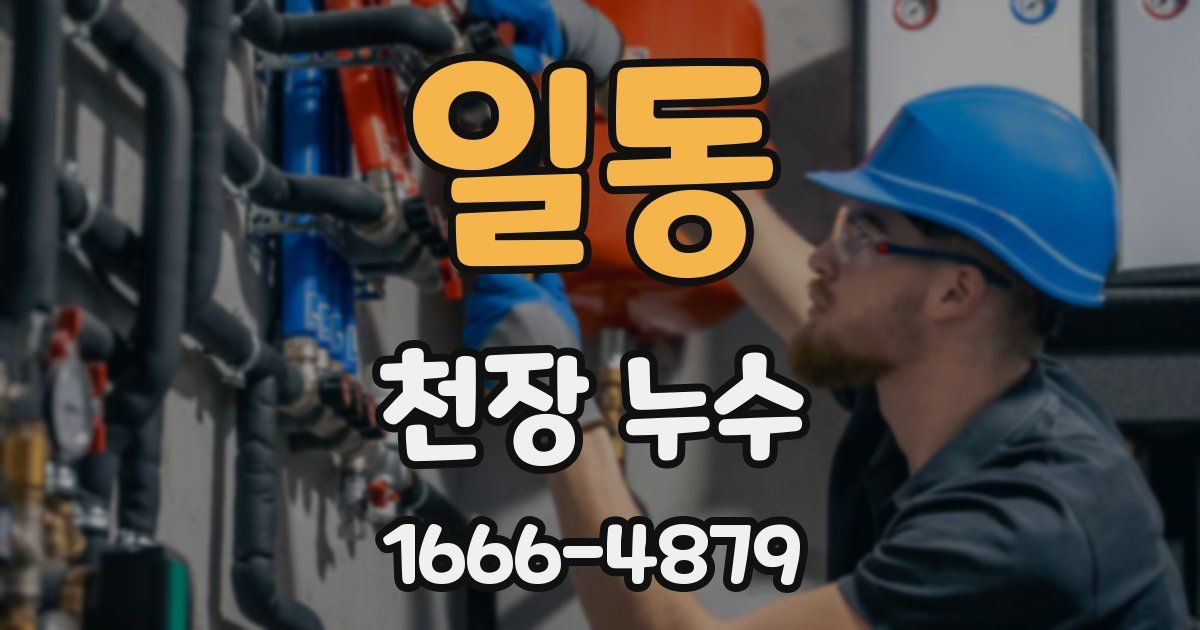 일동 천장 누수
