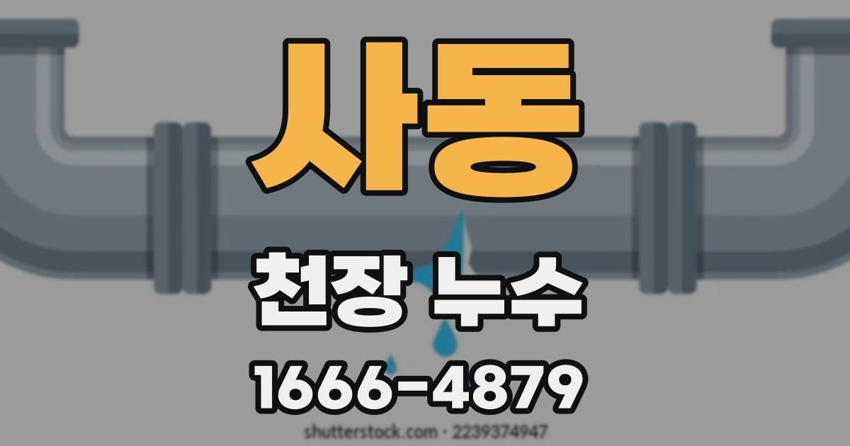사동 천장 누수