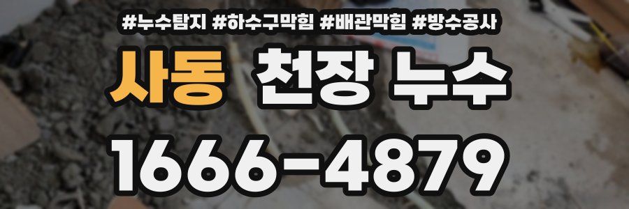 사동 천장 누수