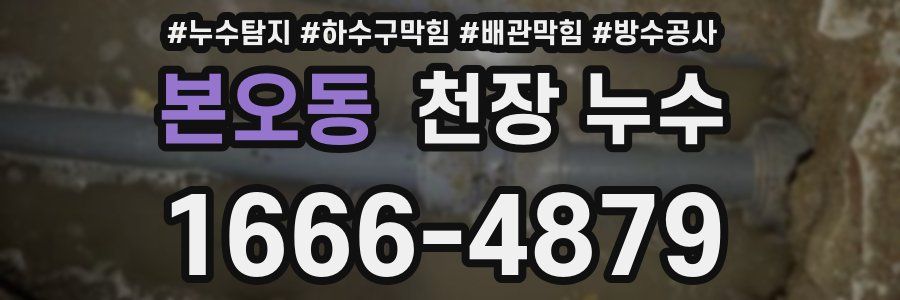 본오동 천장 누수
