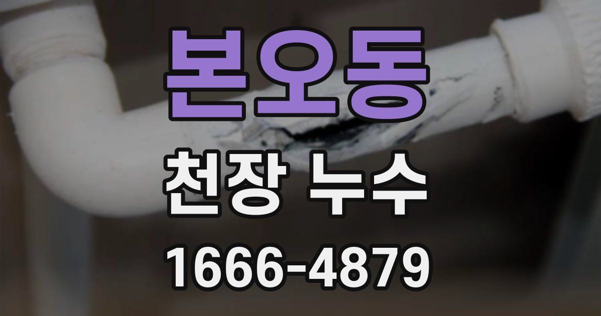 본오동 천장 누수
