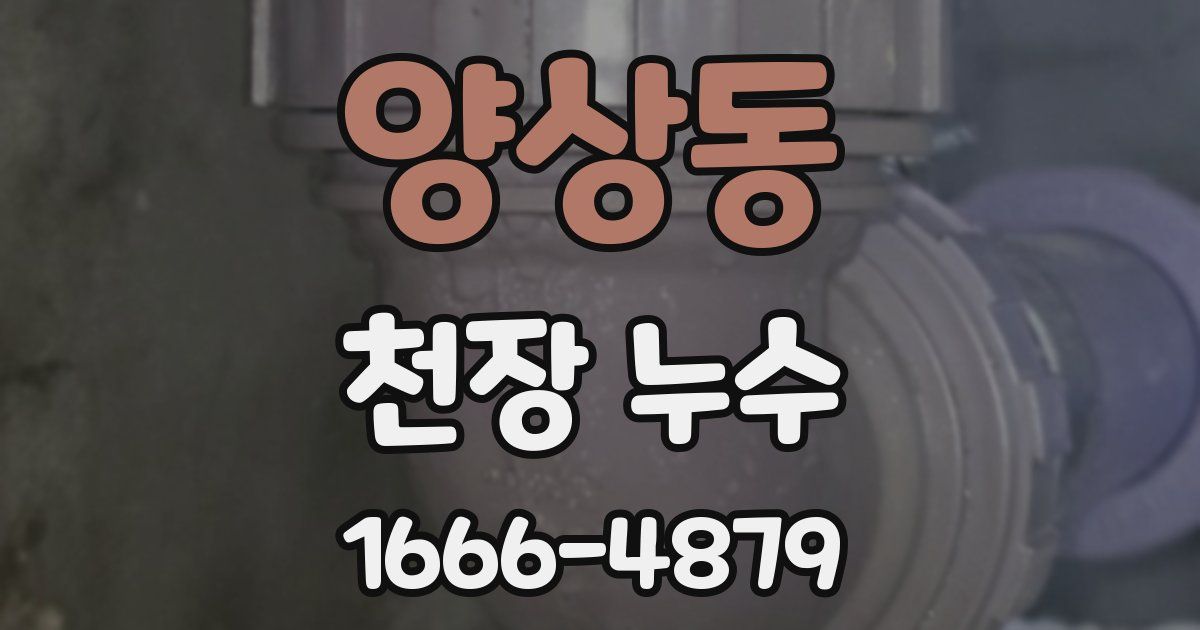 양상동 천장 누수
