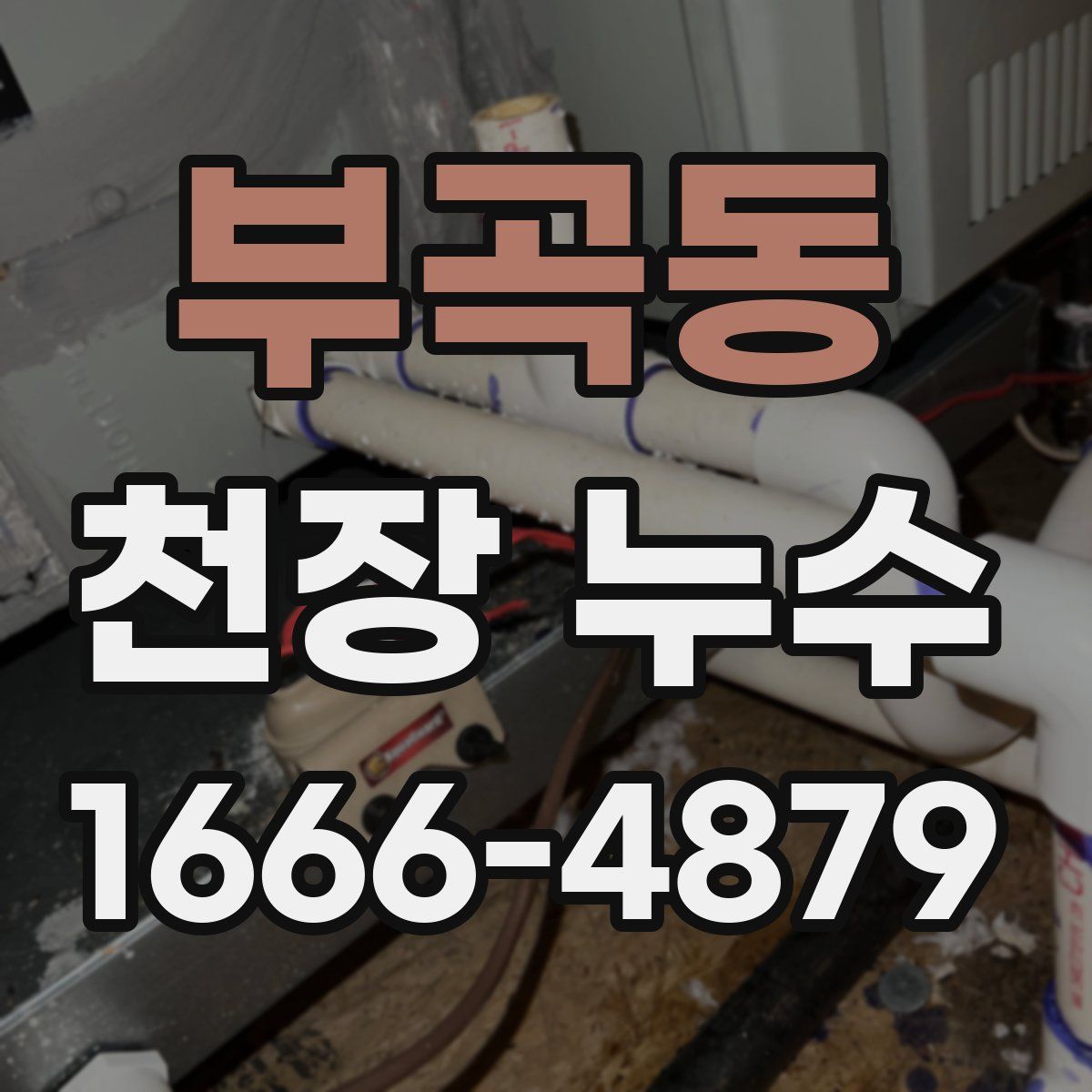 부곡동 천장 누수