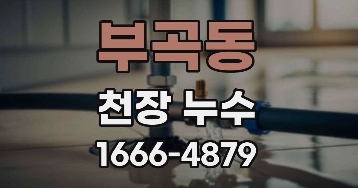 부곡동 천장 누수