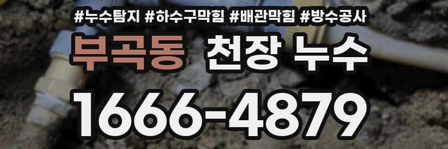 부곡동 천장 누수