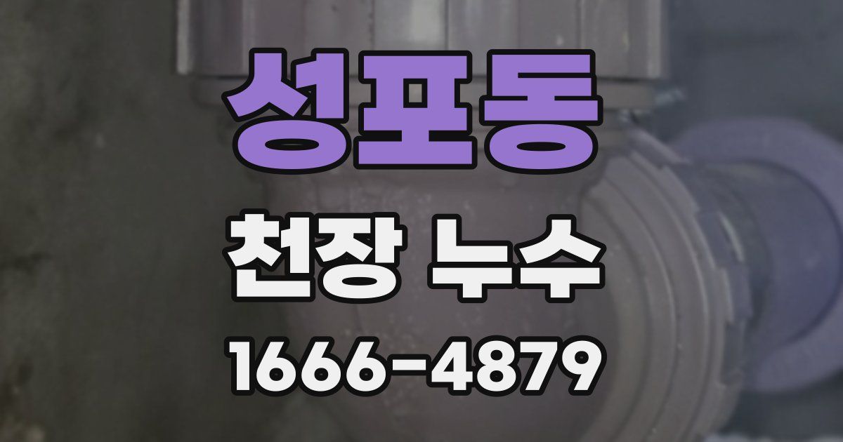 성포동 천장 누수