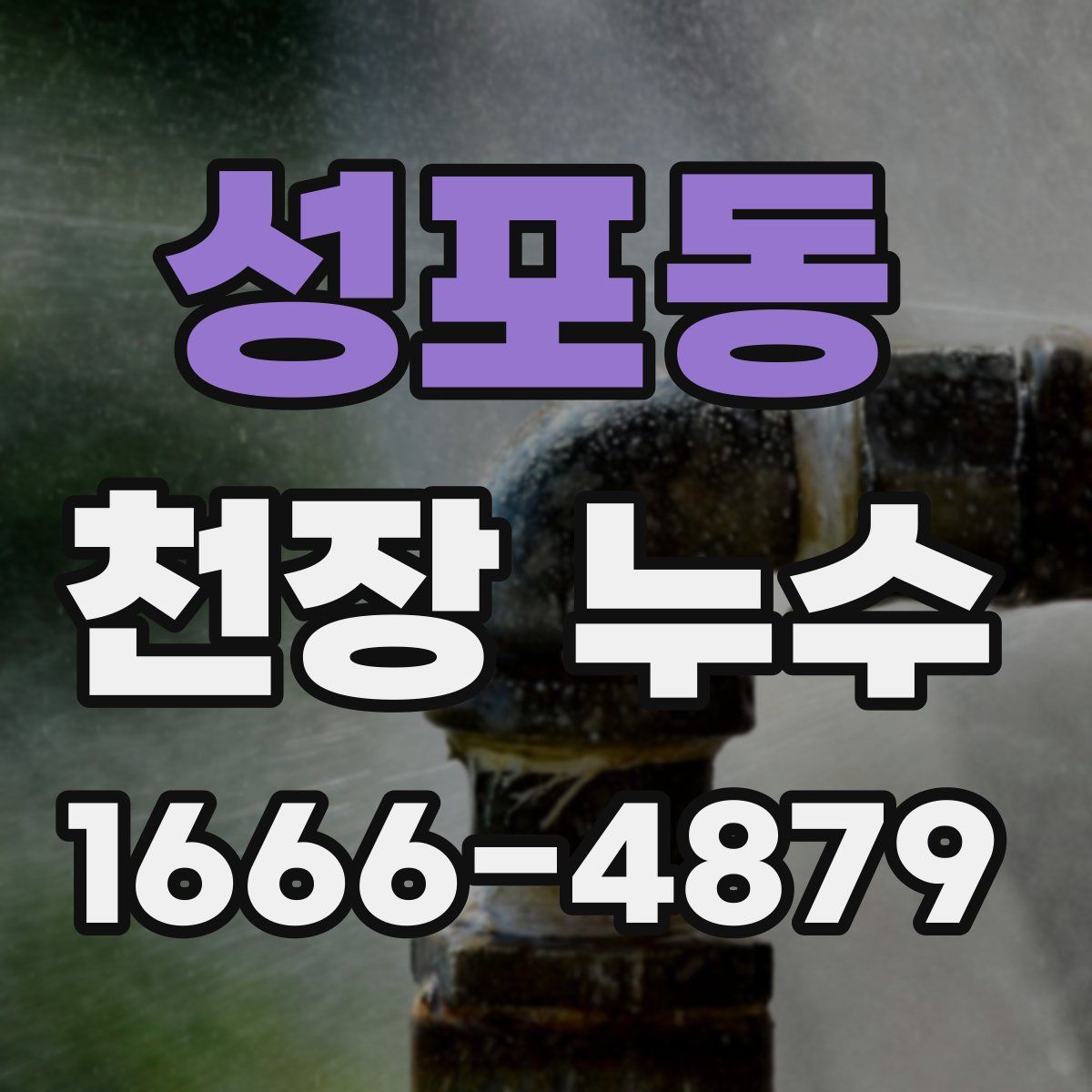 성포동 천장 누수