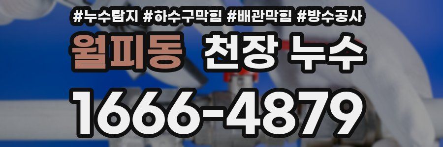 월피동 천장 누수