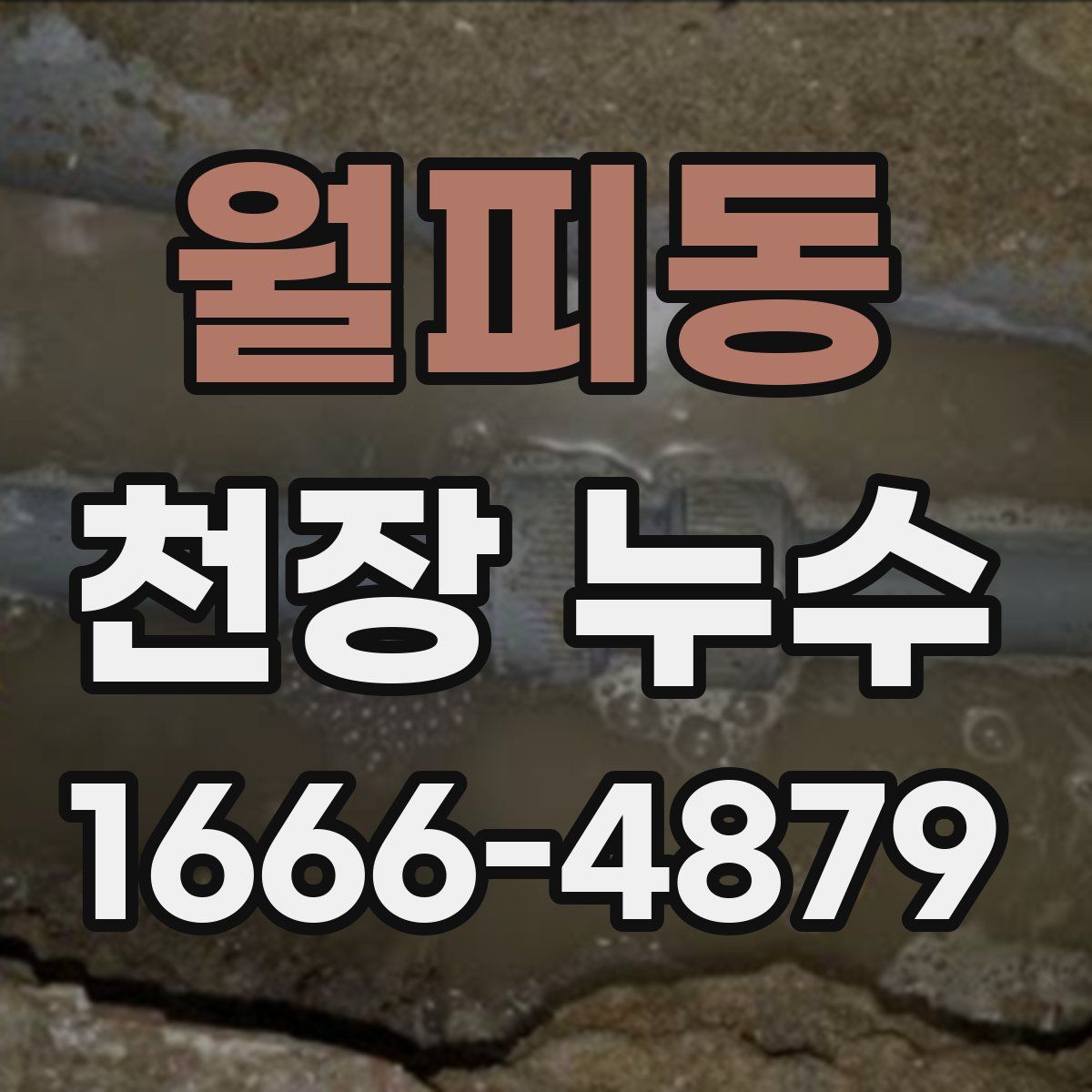 월피동 천장 누수