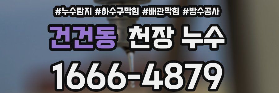 건건동 천장 누수
