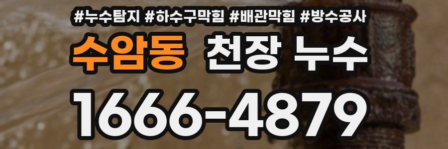 수암동 천장 누수