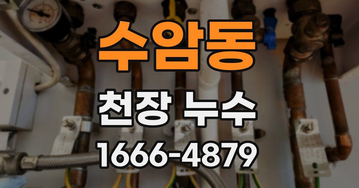 수암동 천장 누수