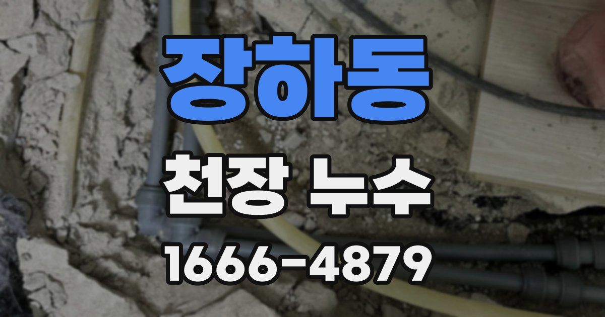 장하동 천장 누수