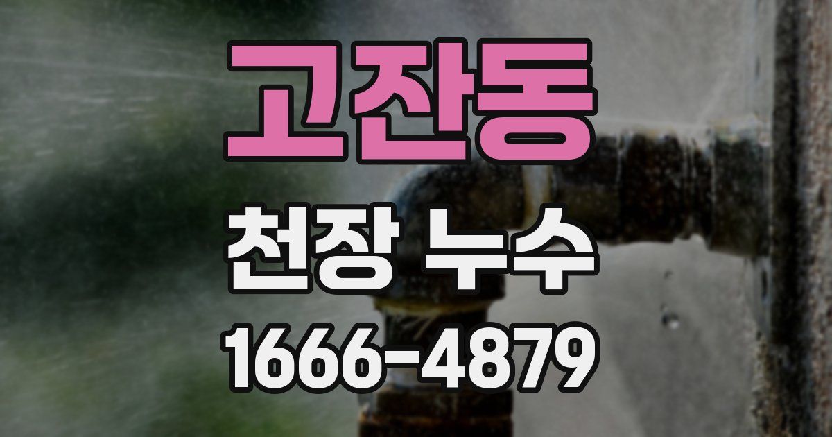 고잔동 천장 누수