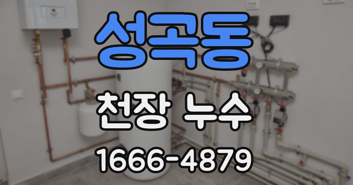 성곡동 천장 누수